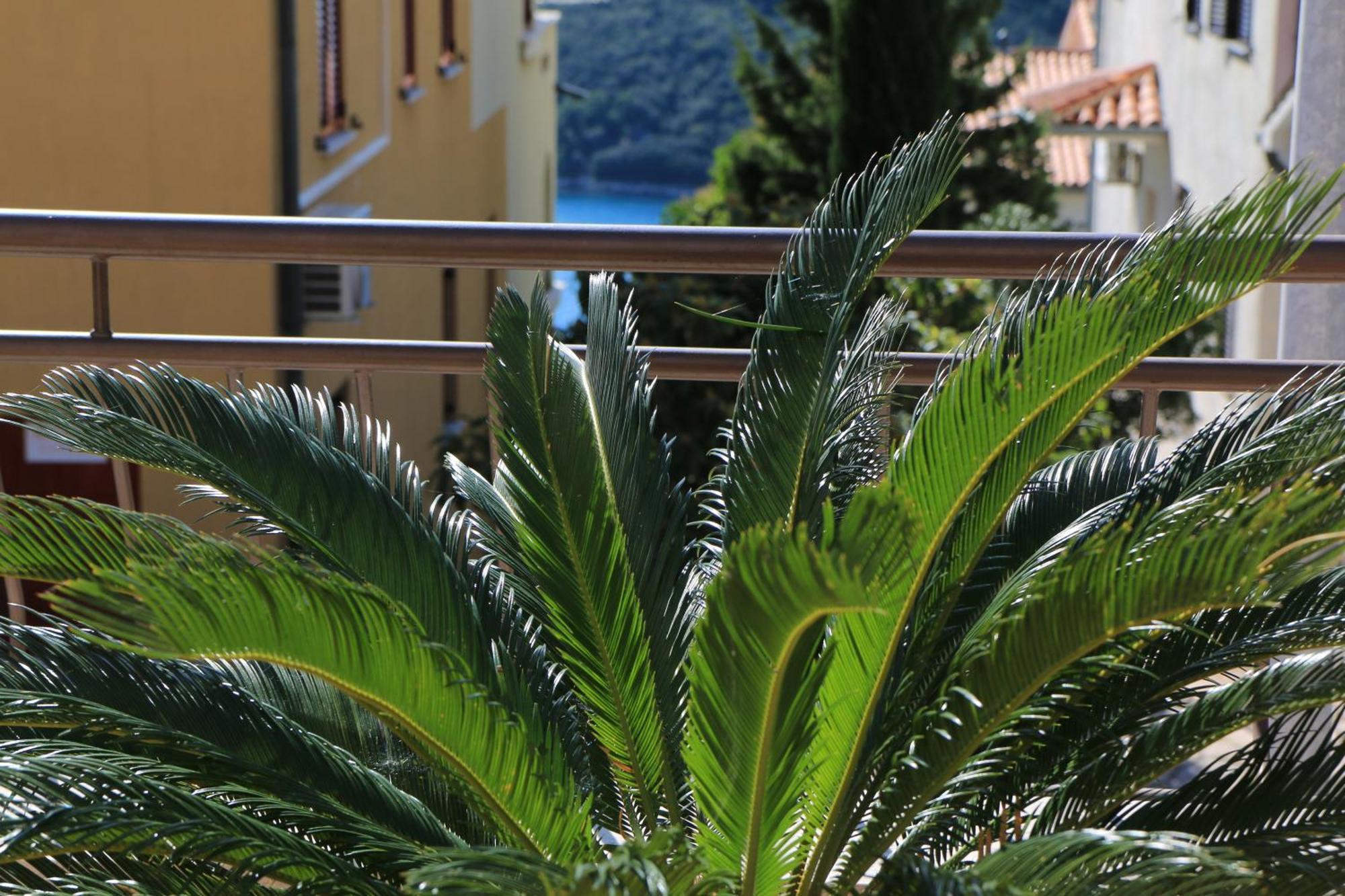 Apartments With A Parking Space Rabac, Labin - 7429 Eksteriør billede